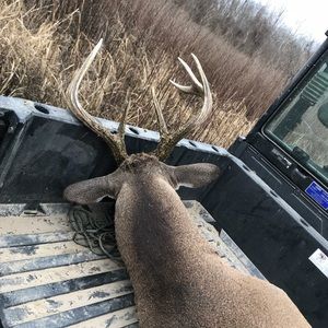 Meet your Posher, Conner